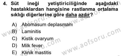Temel Sürü Sağlığı Yönetimi Dersi 2025 - 2026 Yılı Yaz Okulu Sınav Soruları 4. Soru