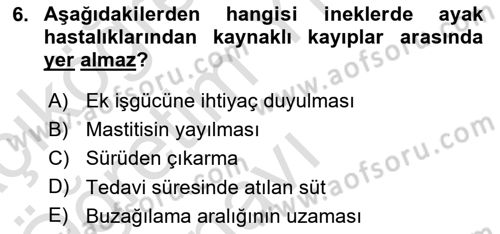 Temel Sürü Sağlığı Yönetimi Dersi 2025 - 2026 Yılı Yaz Okulu Sınav Soruları 6. Soru