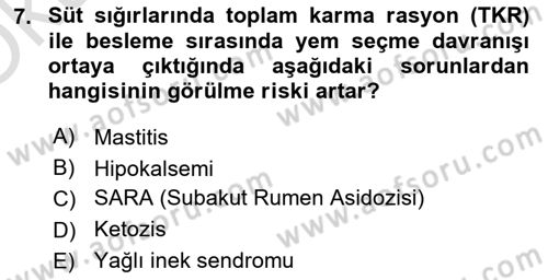 Temel Sürü Sağlığı Yönetimi Dersi 2025 - 2026 Yılı Yaz Okulu Sınav Soruları 7. Soru