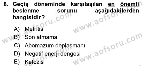 Temel Sürü Sağlığı Yönetimi Dersi 2025 - 2026 Yılı Yaz Okulu Sınav Soruları 8. Soru