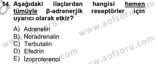 Temel Veteriner Farmakoloji ve Toksikoloji Dersi 2012 - 2013 Yılı (Vize) Ara Sınav Soruları 14. Soru