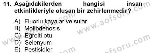 Temel Veteriner Farmakoloji ve Toksikoloji Dersi 2012 - 2013 Yılı (Final) Dönem Sonu Sınavı 11. Soru