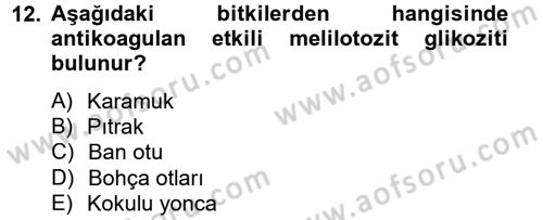Temel Veteriner Farmakoloji ve Toksikoloji Dersi 2012 - 2013 Yılı (Final) Dönem Sonu Sınav Soruları 12. Soru