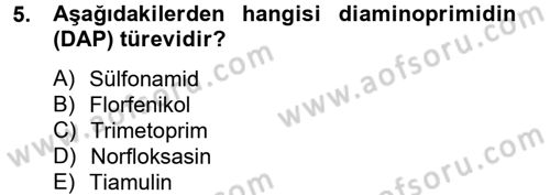 Temel Veteriner Farmakoloji ve Toksikoloji Dersi 2012 - 2013 Yılı (Final) Dönem Sonu Sınav Soruları 5. Soru