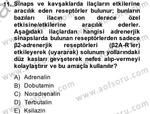 Temel Veteriner Farmakoloji ve Toksikoloji Dersi 2013 - 2014 Yılı (Vize) Ara Sınav Soruları 11. Soru