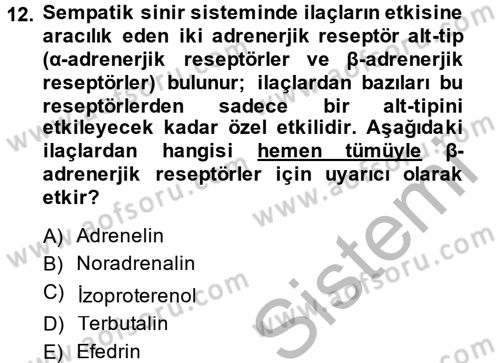 Temel Veteriner Farmakoloji ve Toksikoloji Dersi 2013 - 2014 Yılı (Vize) Ara Sınav Soruları 12. Soru