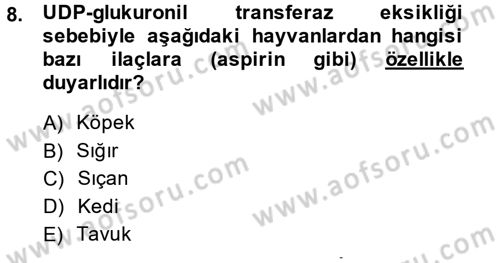 Temel Veteriner Farmakoloji ve Toksikoloji Dersi 2013 - 2014 Yılı (Vize) Ara Sınav Soruları 8. Soru