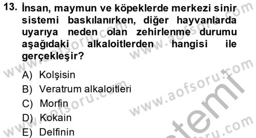Temel Veteriner Farmakoloji ve Toksikoloji Dersi 2013 - 2014 Yılı (Final) Dönem Sonu Sınav Soruları 13. Soru