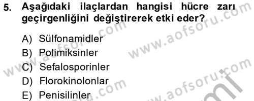 Temel Veteriner Farmakoloji ve Toksikoloji Dersi 2013 - 2014 Yılı (Final) Dönem Sonu Sınav Soruları 5. Soru