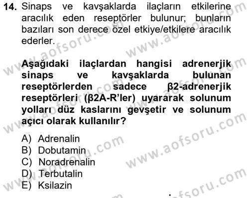 Temel Veteriner Farmakoloji ve Toksikoloji Dersi 2014 - 2015 Yılı (Vize) Ara Sınav Soruları 14. Soru