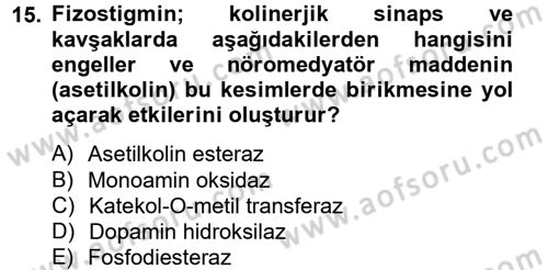 Temel Veteriner Farmakoloji ve Toksikoloji Dersi 2014 - 2015 Yılı (Vize) Ara Sınav Soruları 15. Soru