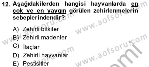 Temel Veteriner Farmakoloji ve Toksikoloji Dersi 2014 - 2015 Yılı (Final) Dönem Sonu Sınavı 12. Soru