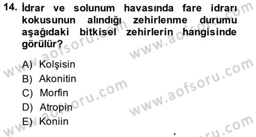 Temel Veteriner Farmakoloji ve Toksikoloji Dersi 2014 - 2015 Yılı (Final) Dönem Sonu Sınav Soruları 14. Soru