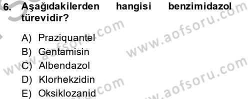 Temel Veteriner Farmakoloji ve Toksikoloji Dersi 2014 - 2015 Yılı (Final) Dönem Sonu Sınav Soruları 6. Soru