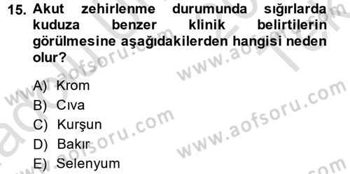 Temel Veteriner Farmakoloji ve Toksikoloji Dersi 2014 - 2015 Yılı Tek Ders Sınav Soruları 15. Soru