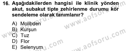 Temel Veteriner Farmakoloji ve Toksikoloji Dersi 2014 - 2015 Yılı Tek Ders Sınavı 16. Soru