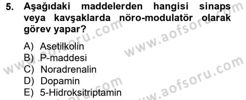 Temel Veteriner Farmakoloji ve Toksikoloji Dersi 2014 - 2015 Yılı Tek Ders Sınavı 5. Soru