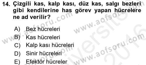 Temel Veteriner Farmakoloji ve Toksikoloji Dersi 2015 - 2016 Yılı (Vize) Ara Sınav Soruları 14. Soru