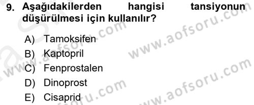 Temel Veteriner Farmakoloji ve Toksikoloji Dersi 2015 - 2016 Yılı (Vize) Ara Sınav Soruları 9. Soru