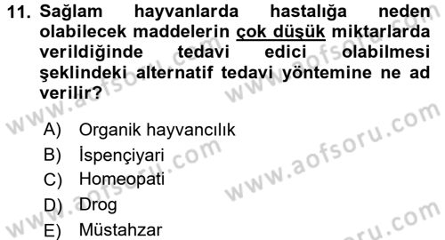 Temel Veteriner Farmakoloji ve Toksikoloji Dersi 2015 - 2016 Yılı (Final) Dönem Sonu Sınav Soruları 11. Soru