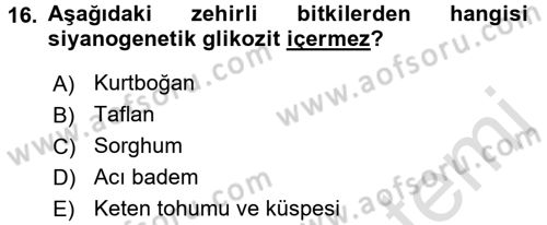 Temel Veteriner Farmakoloji ve Toksikoloji Dersi 2015 - 2016 Yılı (Final) Dönem Sonu Sınav Soruları 16. Soru