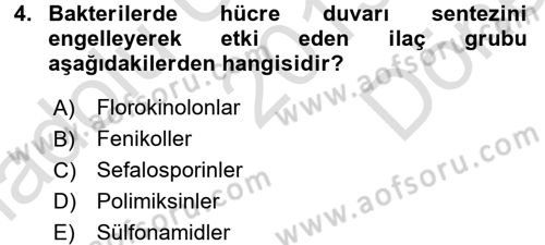 Temel Veteriner Farmakoloji ve Toksikoloji Dersi 2015 - 2016 Yılı (Final) Dönem Sonu Sınav Soruları 4. Soru
