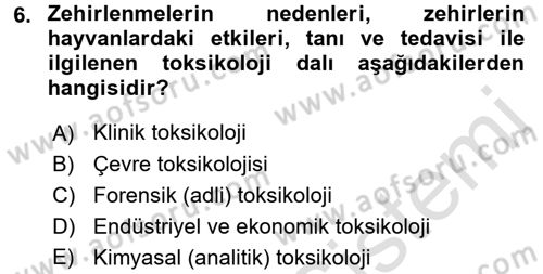 Temel Veteriner Farmakoloji ve Toksikoloji Dersi 2015 - 2016 Yılı (Final) Dönem Sonu Sınav Soruları 6. Soru