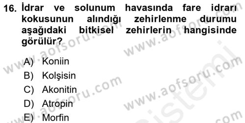 Temel Veteriner Farmakoloji ve Toksikoloji Dersi 2015 - 2016 Yılı Tek Ders Sınavı 16. Soru