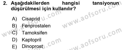 Temel Veteriner Farmakoloji ve Toksikoloji Dersi 2015 - 2016 Yılı Tek Ders Sınav Soruları 2. Soru
