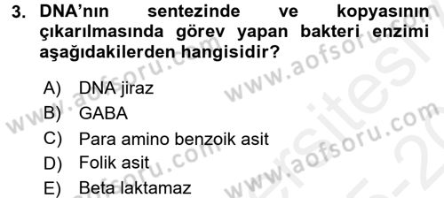 Temel Veteriner Farmakoloji ve Toksikoloji Dersi 2015 - 2016 Yılı Tek Ders Sınav Soruları 3. Soru
