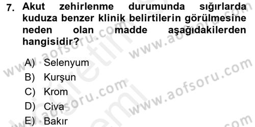 Temel Veteriner Farmakoloji ve Toksikoloji Dersi 2015 - 2016 Yılı Tek Ders Sınav Soruları 7. Soru