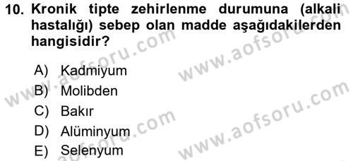 Temel Veteriner Farmakoloji ve Toksikoloji Dersi 2016 - 2017 Yılı 3 Ders Sınav Soruları 10. Soru