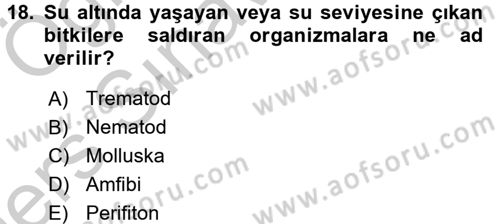 Temel Veteriner Farmakoloji ve Toksikoloji Dersi 2016 - 2017 Yılı 3 Ders Sınav Soruları 18. Soru