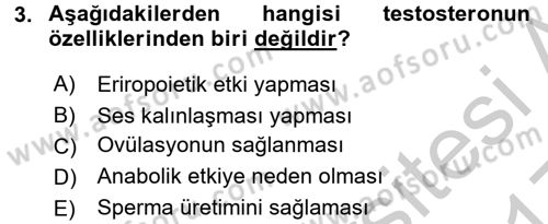 Temel Veteriner Farmakoloji ve Toksikoloji Dersi 2016 - 2017 Yılı 3 Ders Sınav Soruları 3. Soru