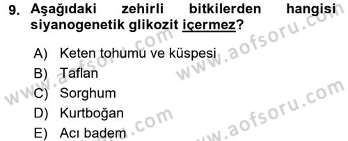 Temel Veteriner Farmakoloji ve Toksikoloji Dersi 2016 - 2017 Yılı 3 Ders Sınav Soruları 9. Soru