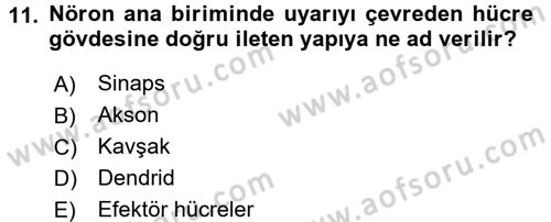 Temel Veteriner Farmakoloji ve Toksikoloji Dersi 2016 - 2017 Yılı (Vize) Ara Sınav Soruları 11. Soru