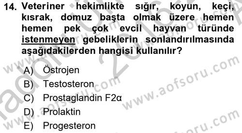 Temel Veteriner Farmakoloji ve Toksikoloji Dersi 2016 - 2017 Yılı (Vize) Ara Sınav Soruları 14. Soru