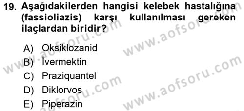 Temel Veteriner Farmakoloji ve Toksikoloji Dersi 2016 - 2017 Yılı (Vize) Ara Sınav Soruları 19. Soru