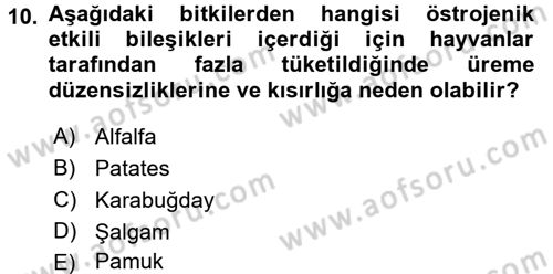 Temel Veteriner Farmakoloji ve Toksikoloji Dersi 2016 - 2017 Yılı (Final) Dönem Sonu Sınav Soruları 10. Soru