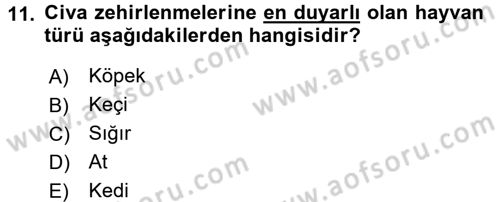 Temel Veteriner Farmakoloji ve Toksikoloji Dersi 2016 - 2017 Yılı (Final) Dönem Sonu Sınav Soruları 11. Soru