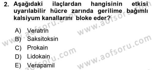 Temel Veteriner Farmakoloji ve Toksikoloji Dersi 2016 - 2017 Yılı (Final) Dönem Sonu Sınavı 2. Soru