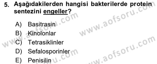 Temel Veteriner Farmakoloji ve Toksikoloji Dersi 2016 - 2017 Yılı (Final) Dönem Sonu Sınav Soruları 5. Soru