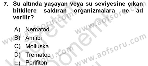 Temel Veteriner Farmakoloji ve Toksikoloji Dersi 2016 - 2017 Yılı (Final) Dönem Sonu Sınav Soruları 7. Soru