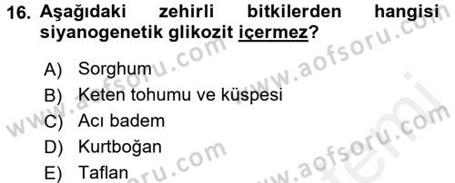 Temel Veteriner Farmakoloji ve Toksikoloji Dersi 2017 - 2018 Yılı 3 Ders Sınav Soruları 16. Soru