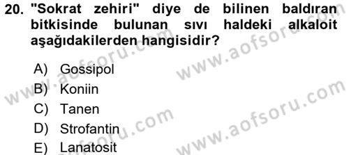 Temel Veteriner Farmakoloji ve Toksikoloji Dersi 2017 - 2018 Yılı 3 Ders Sınav Soruları 20. Soru