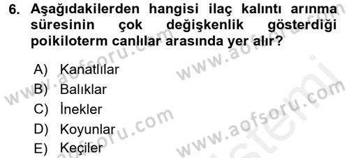 Temel Veteriner Farmakoloji ve Toksikoloji Dersi 2017 - 2018 Yılı 3 Ders Sınav Soruları 6. Soru