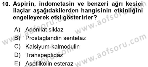 Temel Veteriner Farmakoloji ve Toksikoloji Dersi 2017 - 2018 Yılı (Vize) Ara Sınav Soruları 10. Soru