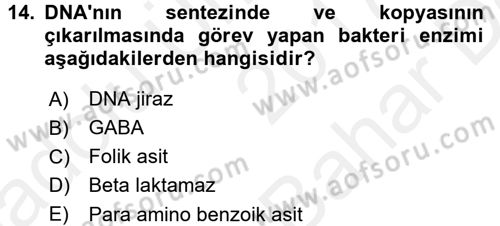 Temel Veteriner Farmakoloji ve Toksikoloji Dersi 2017 - 2018 Yılı (Vize) Ara Sınav Soruları 14. Soru