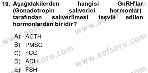 Temel Veteriner Farmakoloji ve Toksikoloji Dersi 2017 - 2018 Yılı (Vize) Ara Sınav Soruları 19. Soru