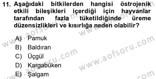 Temel Veteriner Farmakoloji ve Toksikoloji Dersi 2017 - 2018 Yılı (Final) Dönem Sonu Sınav Soruları 11. Soru